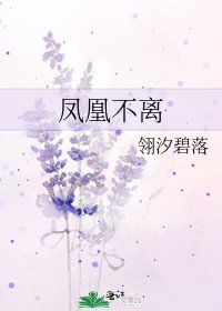 凤凰不离